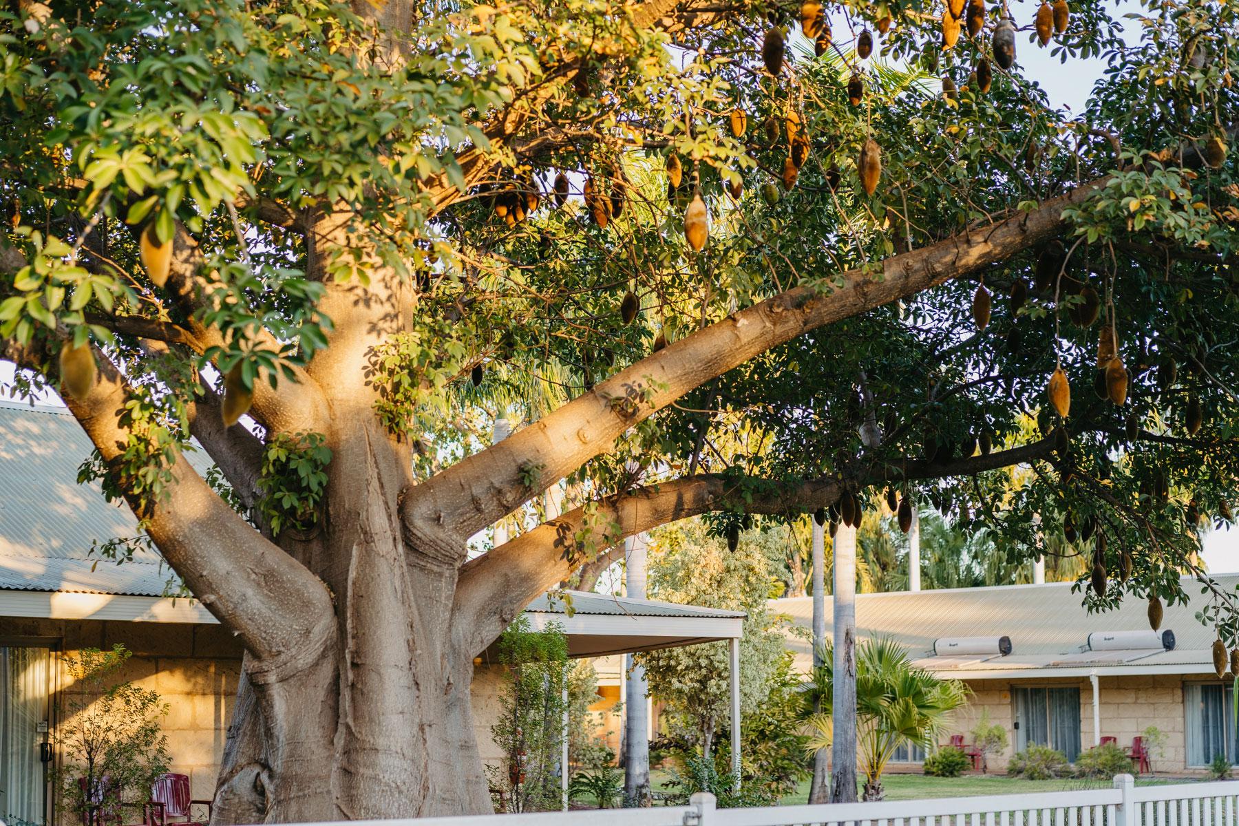 The Kimberley Grande Resort Kununurra Εξωτερικό φωτογραφία