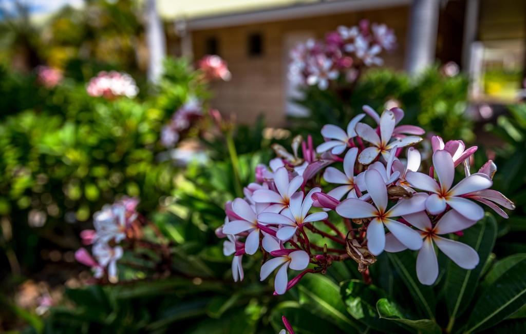 The Kimberley Grande Resort Kununurra Εξωτερικό φωτογραφία