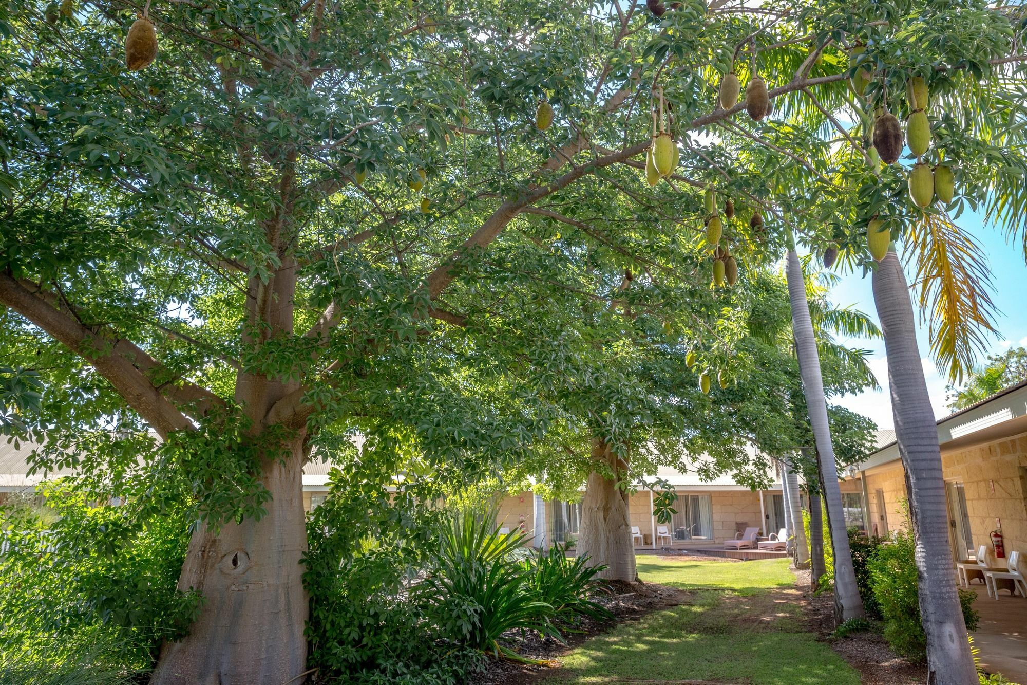 The Kimberley Grande Resort Kununurra Εξωτερικό φωτογραφία